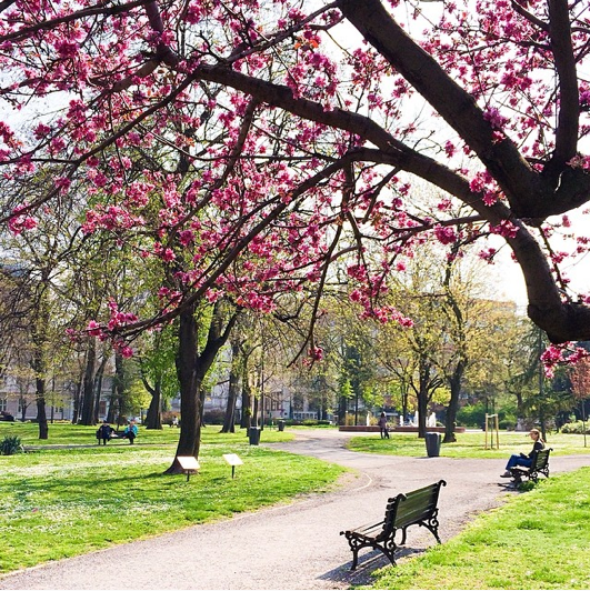 belgrade in spring