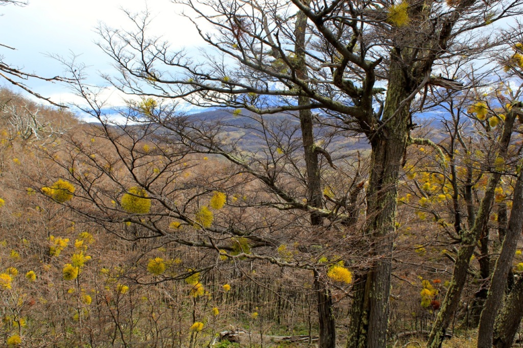 Patagonia Chile