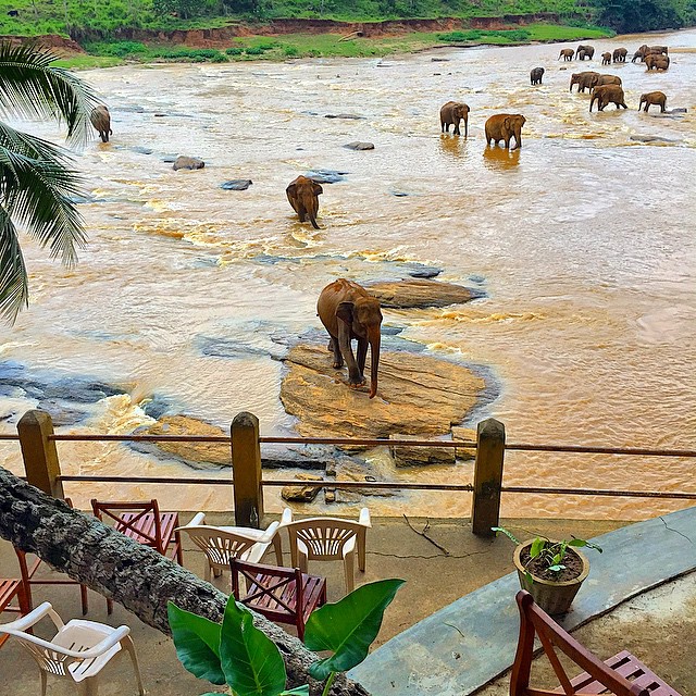 Sri Lanka