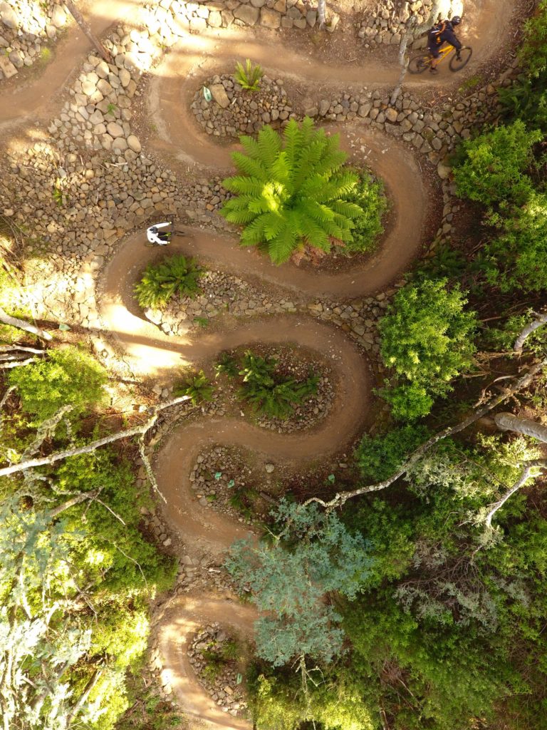 Blue Derby Trails Tasmania