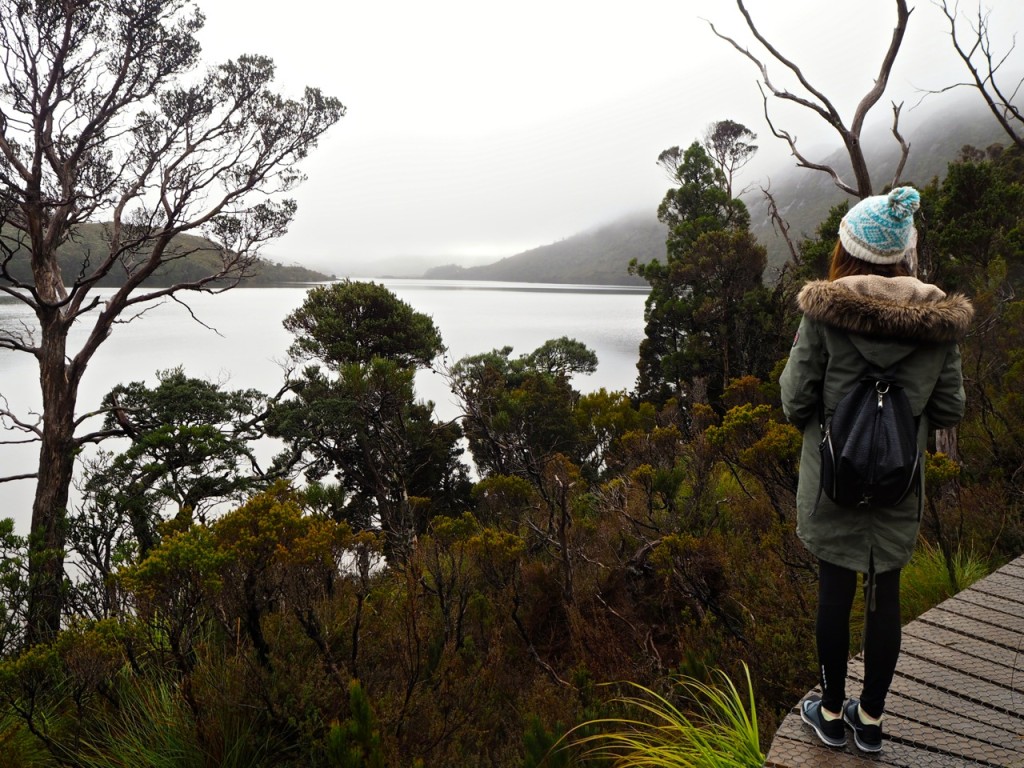 Cradle_Mountain