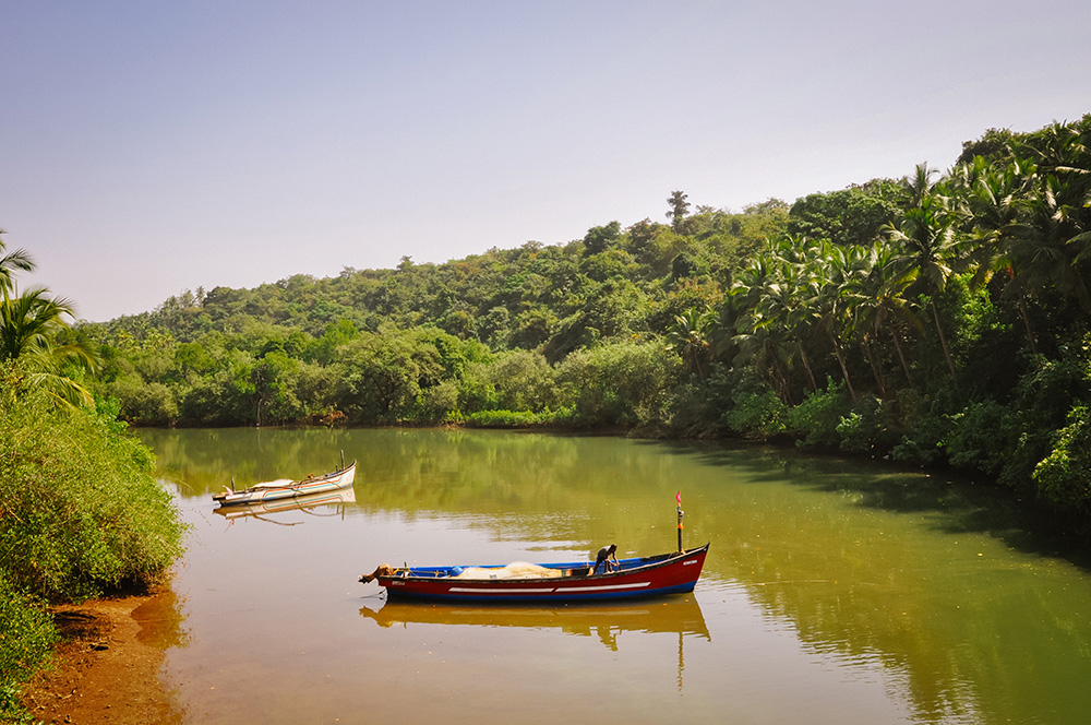 Goa, Backwaters