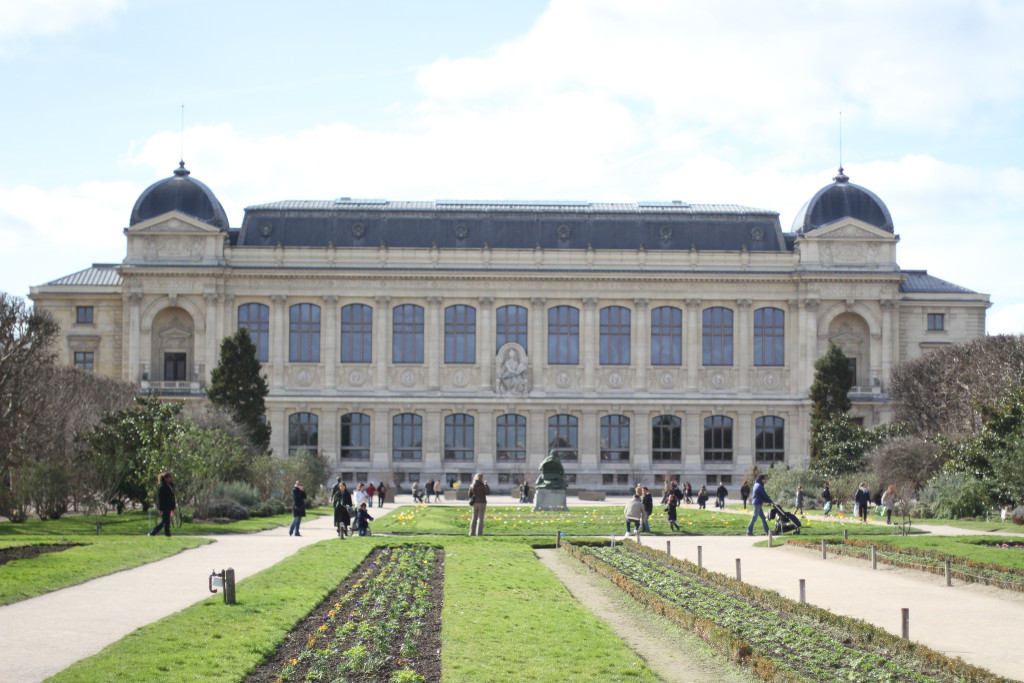 Le jardin des plantes