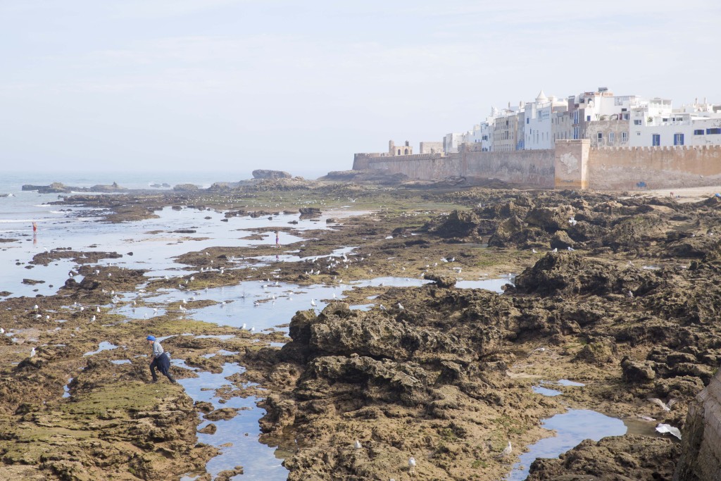 Essaouira_Guide