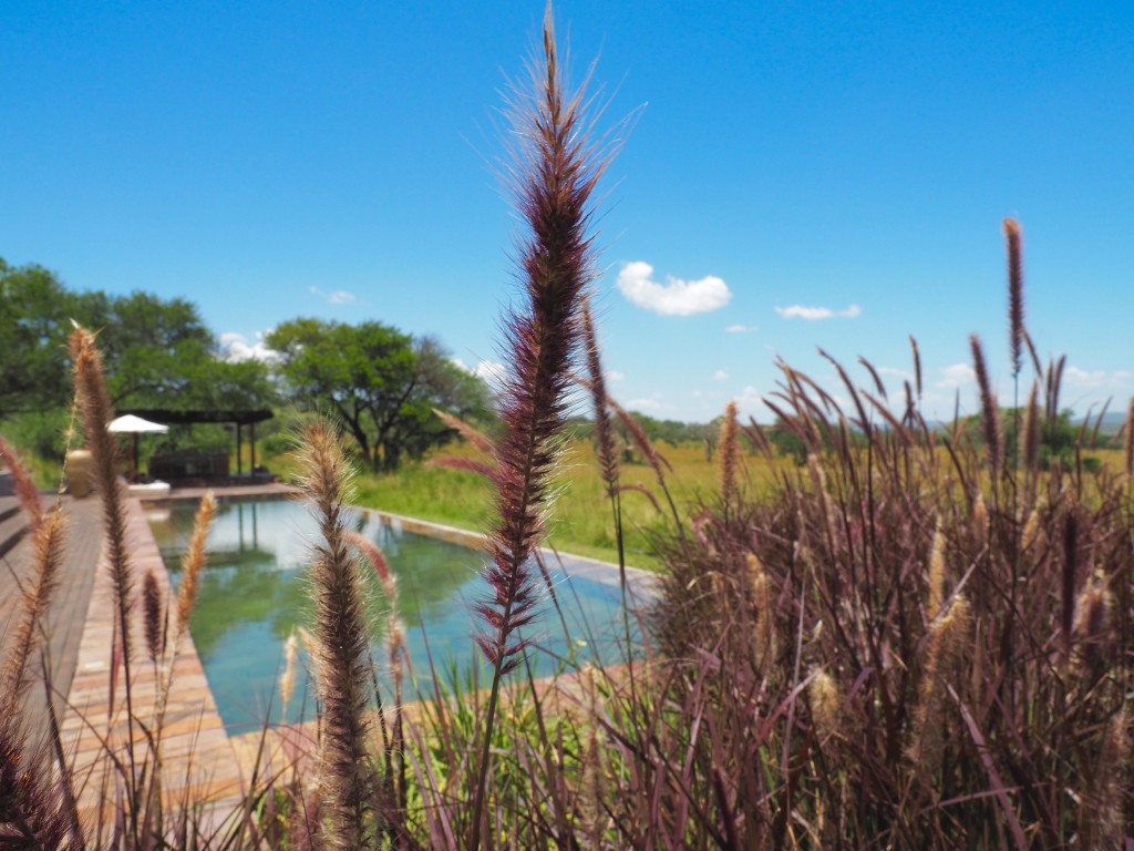 Serengeti_House_Tanzania