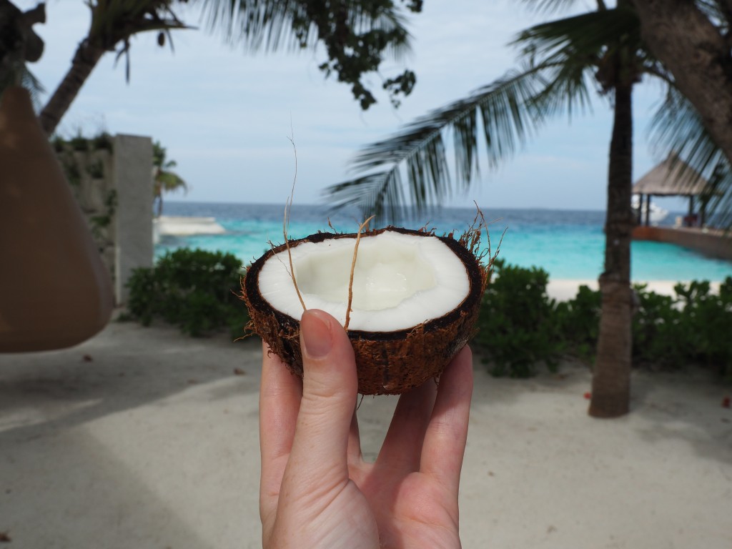 Coconut in the Maldives