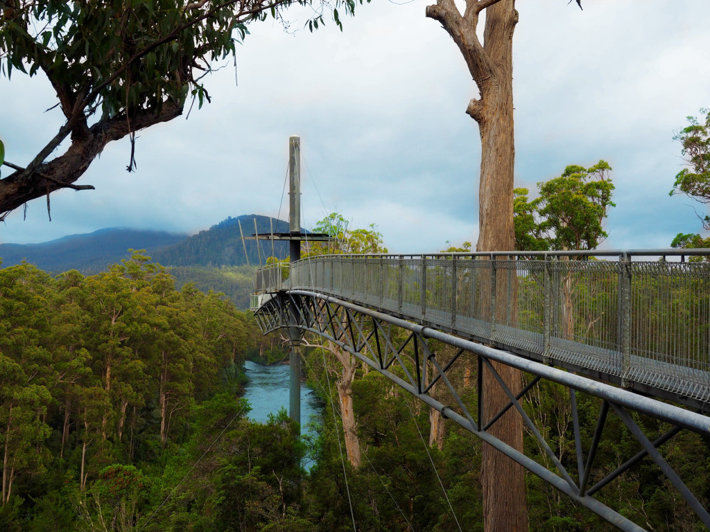 Tahune Airwalk Tasmania