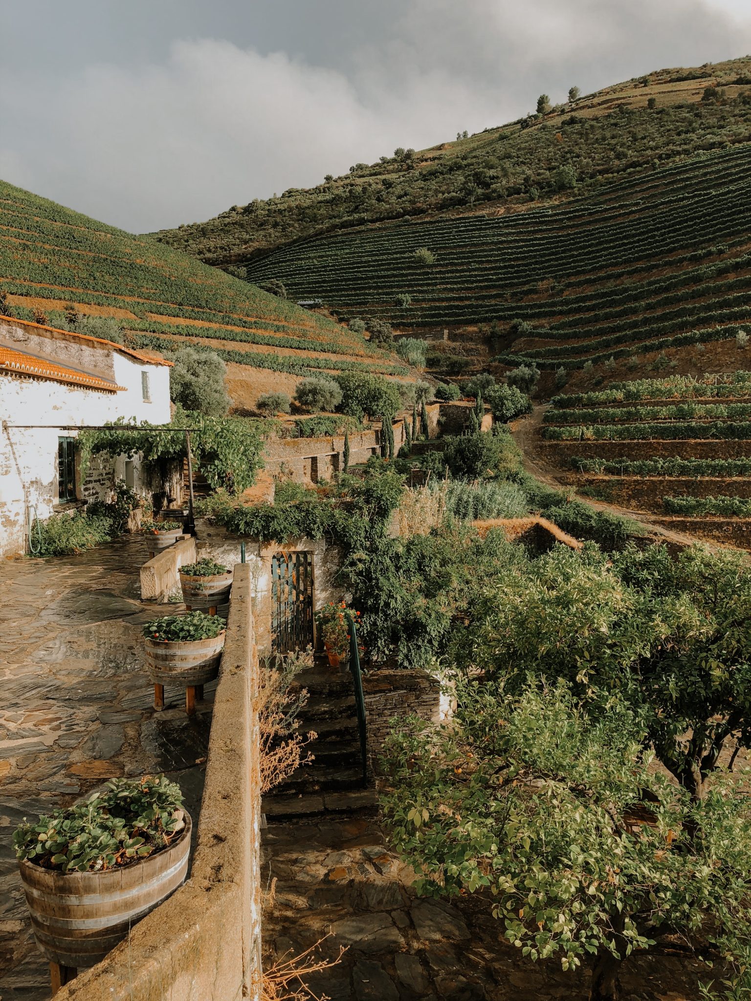 Douro Valley Portugal via Unsplash