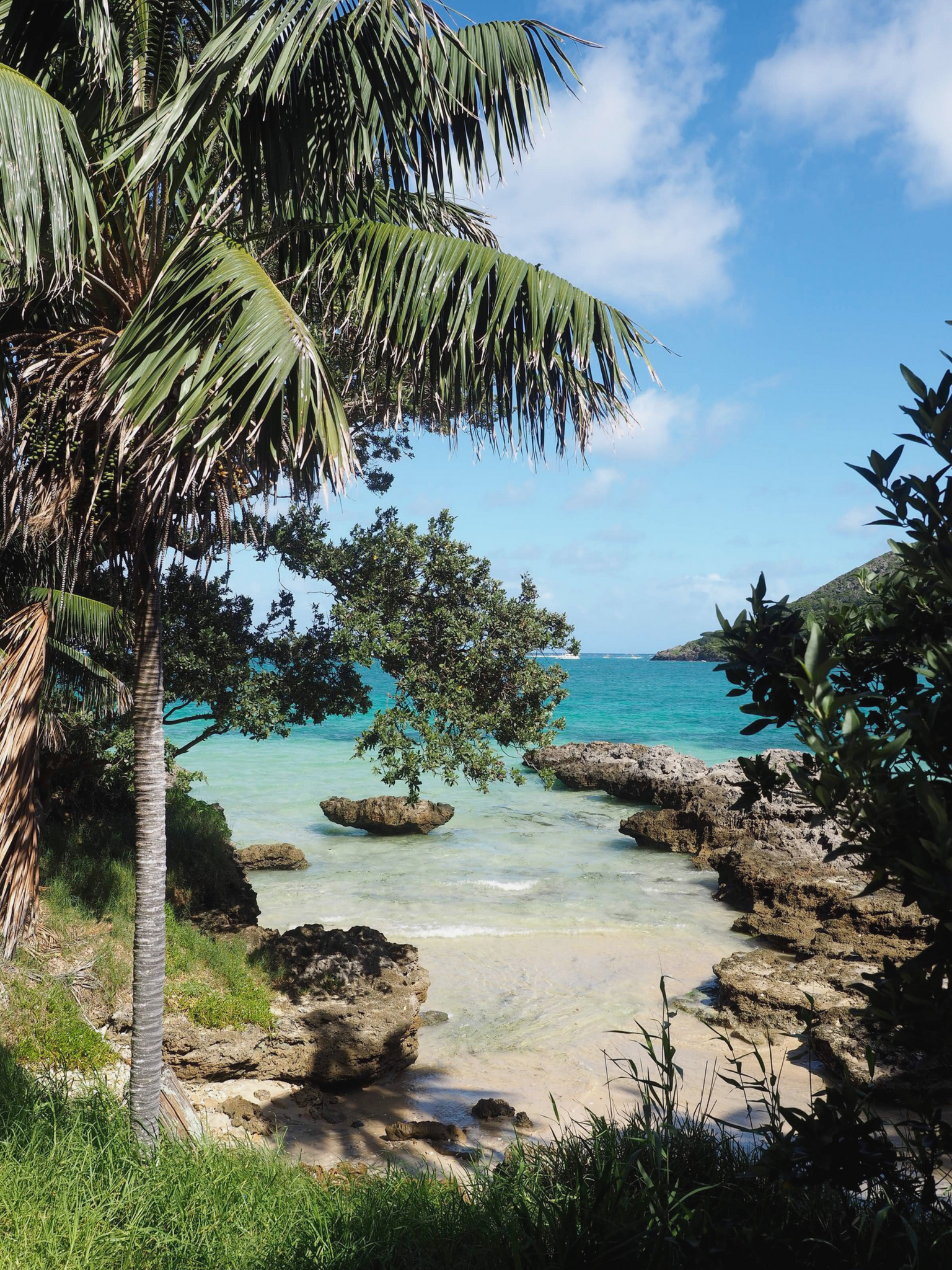 Lord Howe Island | WOW