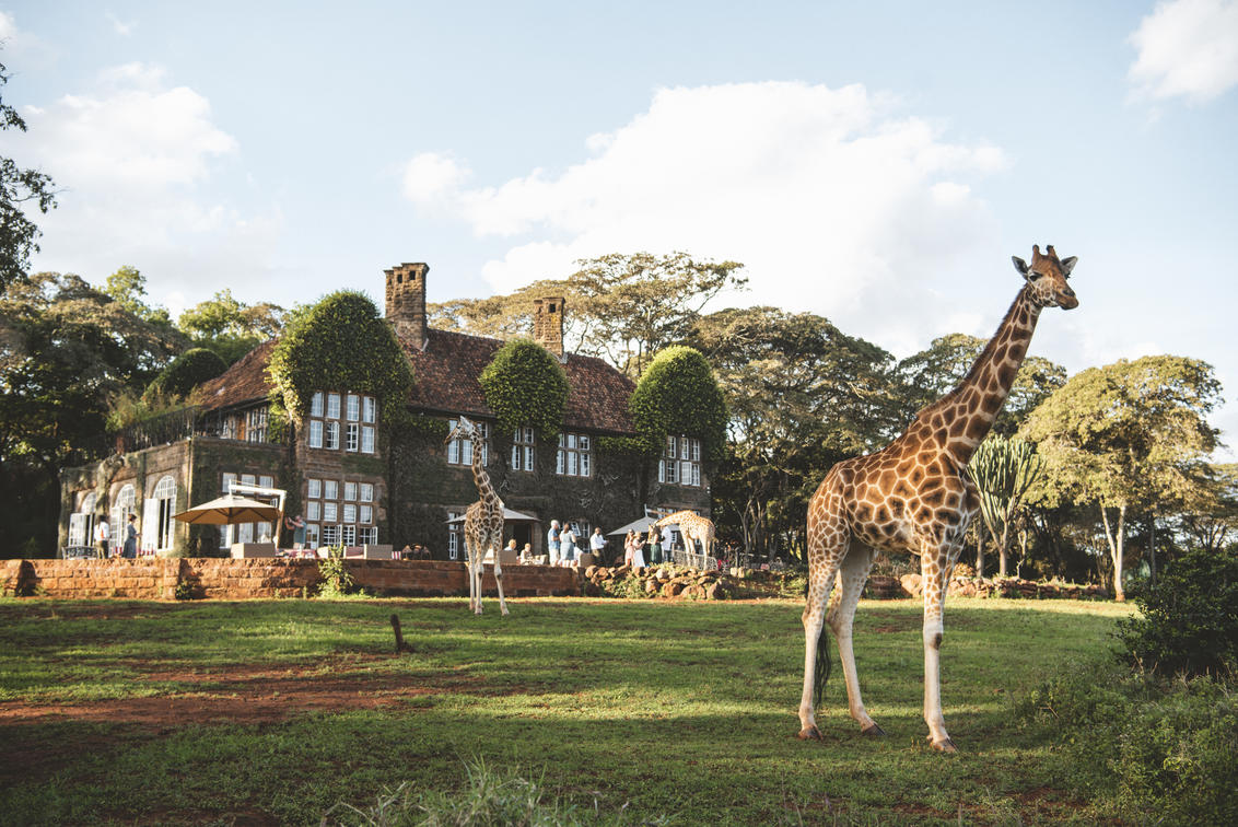 giraffe-manor-kenya