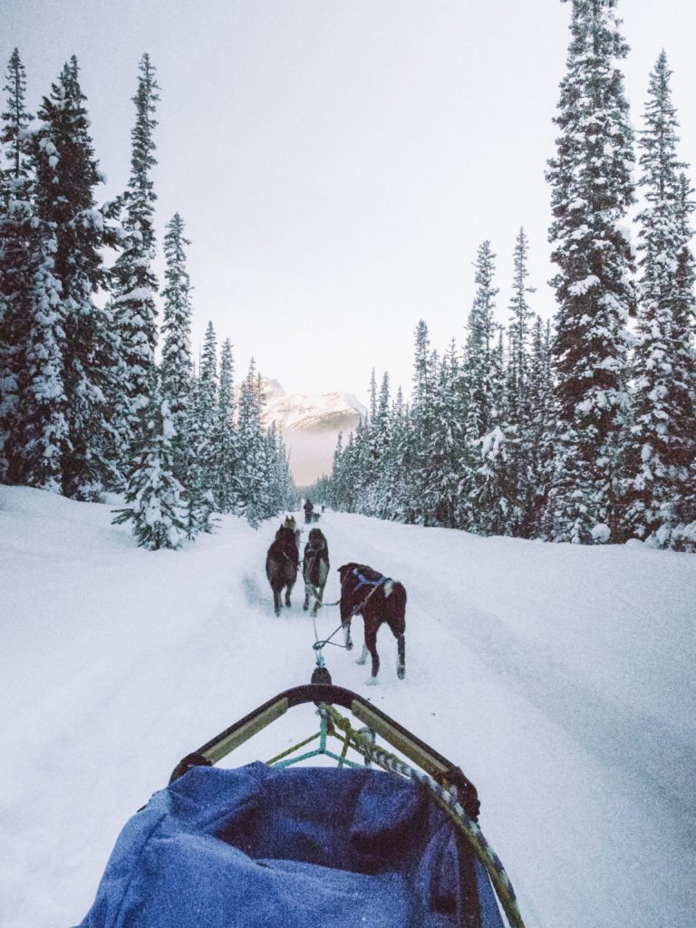 Lake Louise | World of Wanderlust