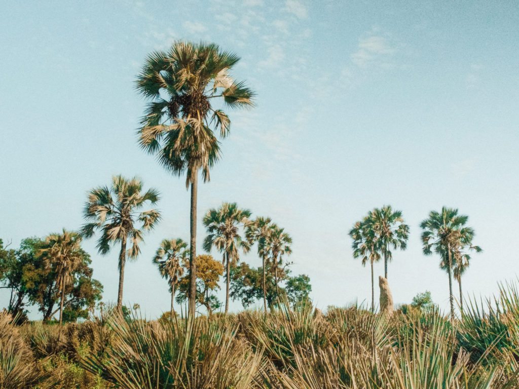 Nxabega Tented Camp Botswana | WORLD OF WANDERLUST