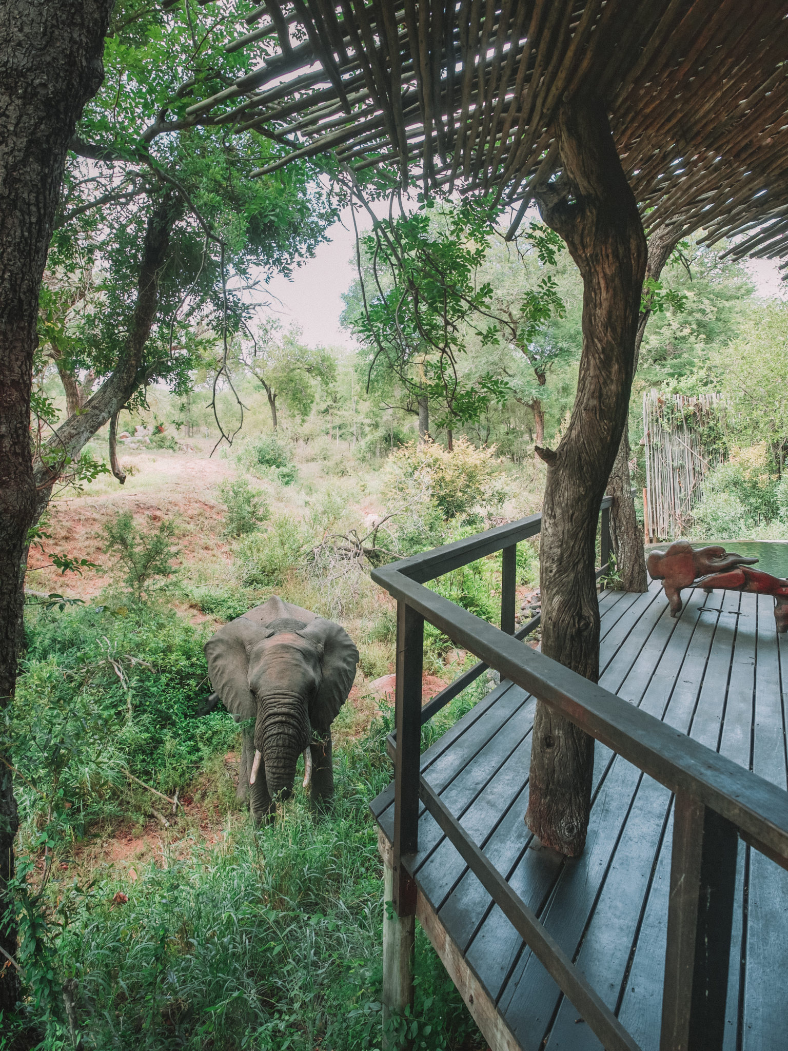 Singita Boulders Lodge | WORLD OF WANDERLUST