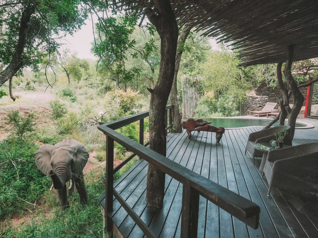 Singita Boulders Lodge | WORLD OF WANDERLUST