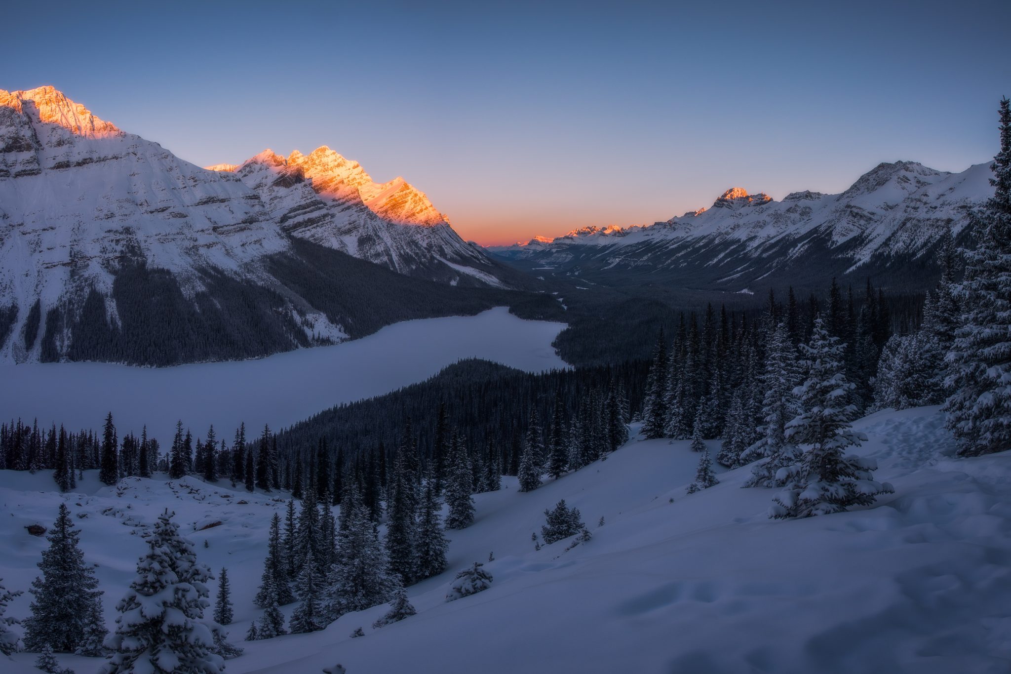 Peyto Lake | WOW