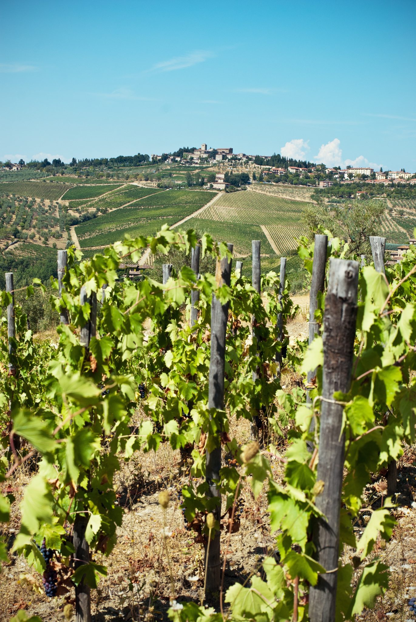 Chianti Italy | WORLD OF WANDERLUST