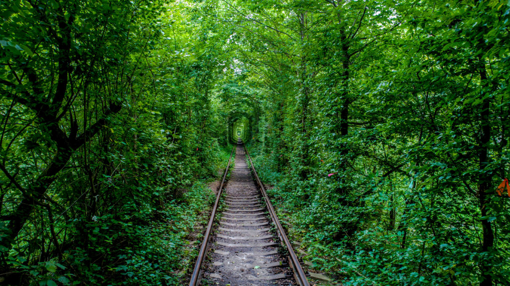 Tunnel_Of_Love_Ukraine