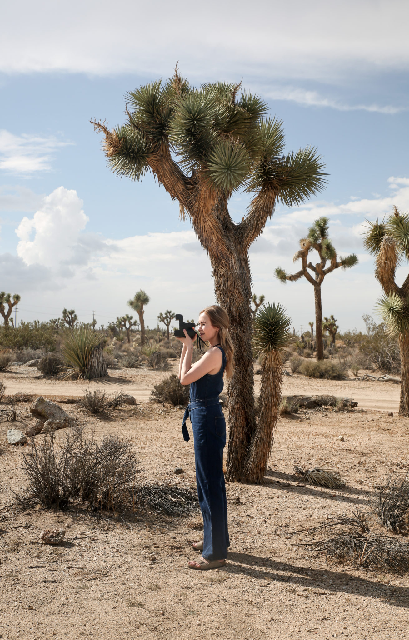 A Tiny Cabin in Joshua Tree | WORLD OF WANDERLUST