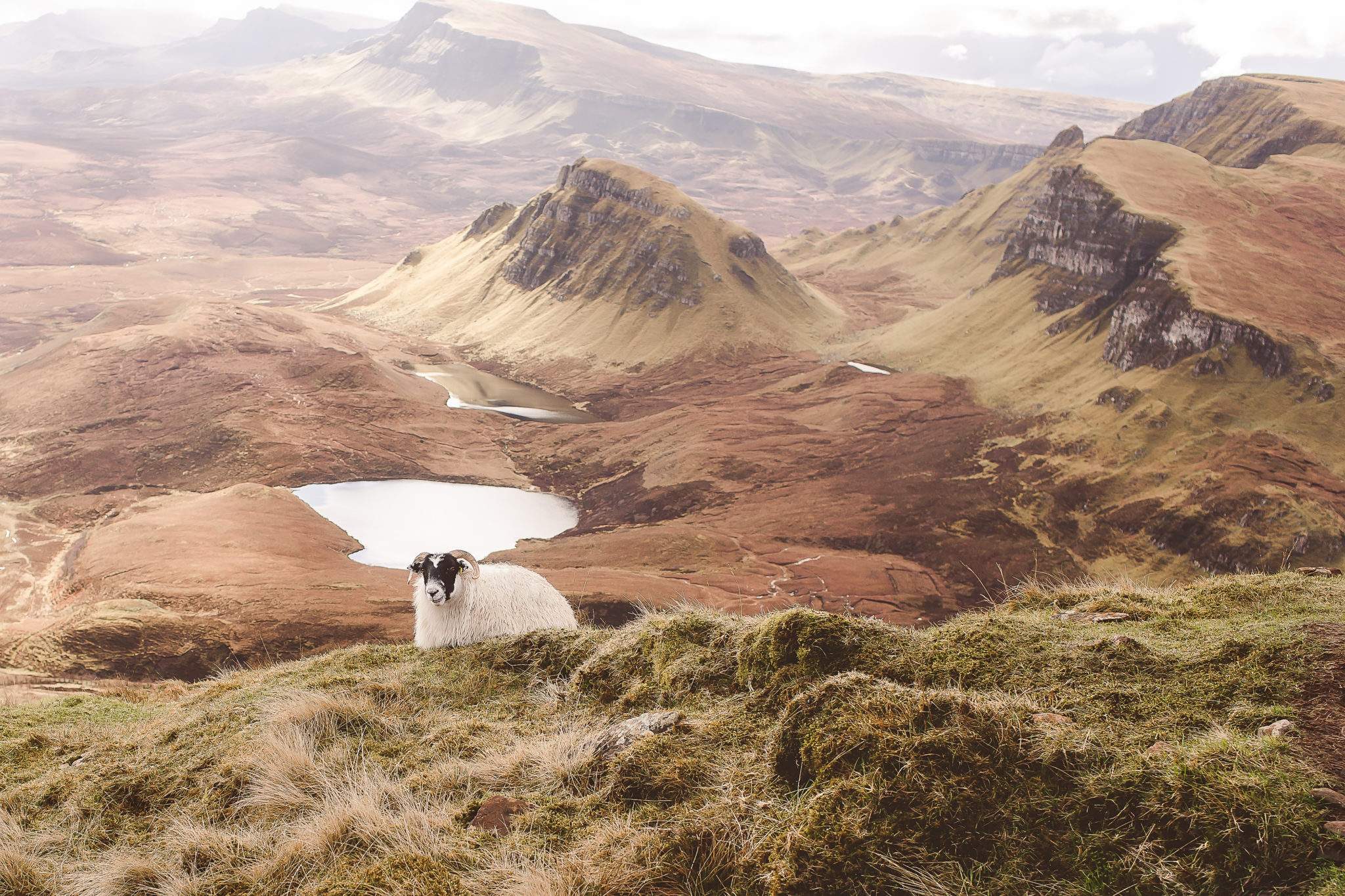 Scotland | WOW