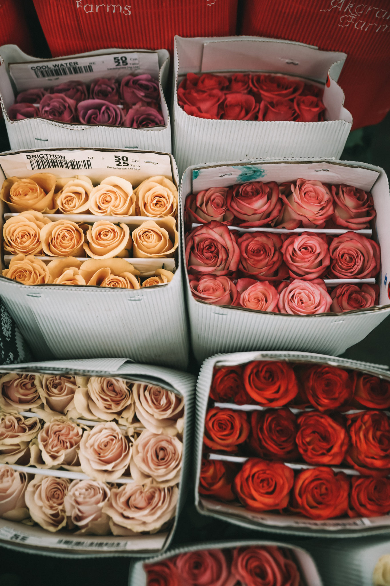 Downtown_Los_Angeles_Flower_Market