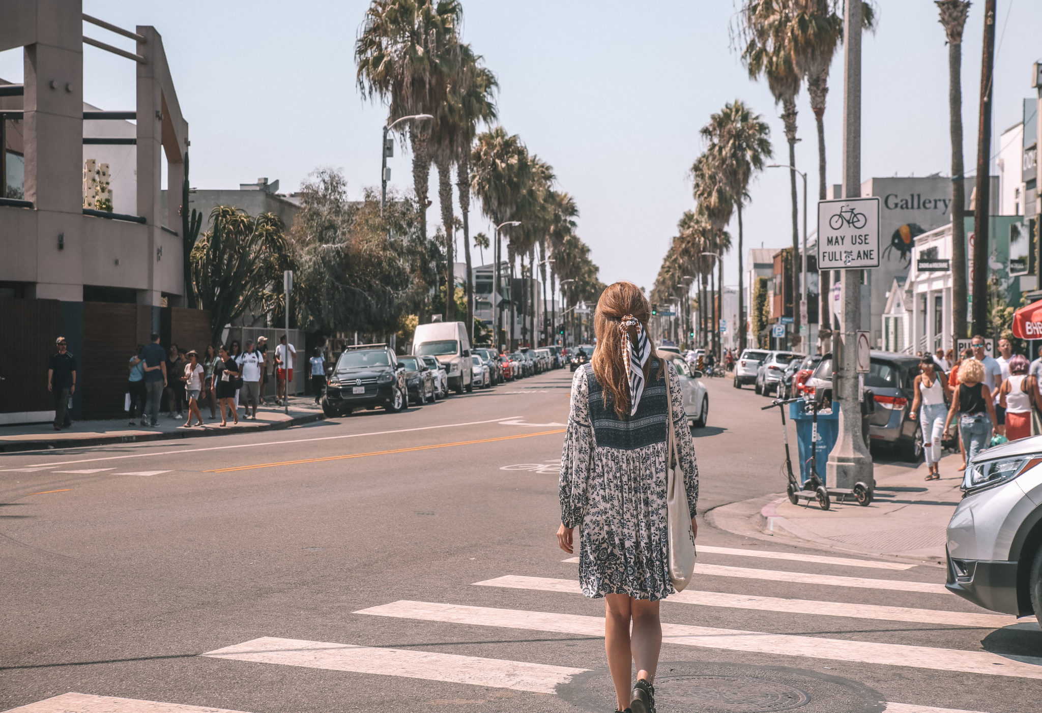 Guide to Venice California | WORLD OF WANDERLUST