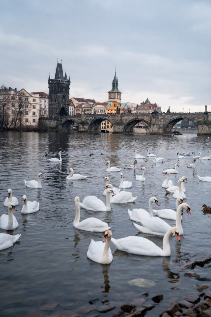 Prague at Christmas | WORLD OF WANDERLUST