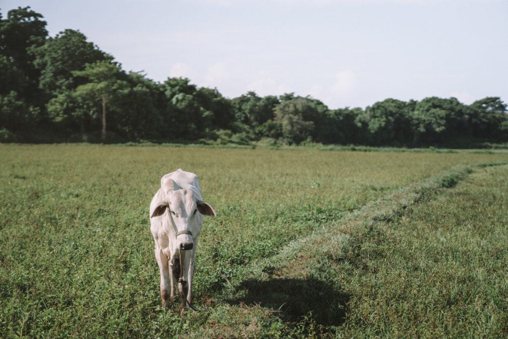 Nihi Sumba review | WORLD OF WANDERLUST