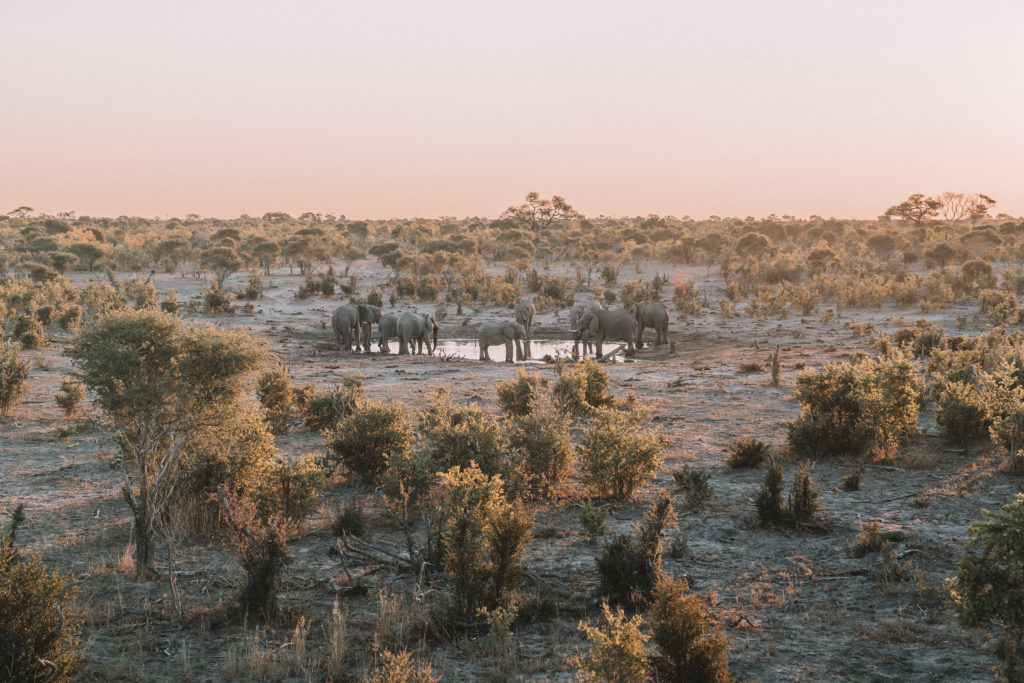 Sable Alley Botswana | WORLD OF WANDERLUST