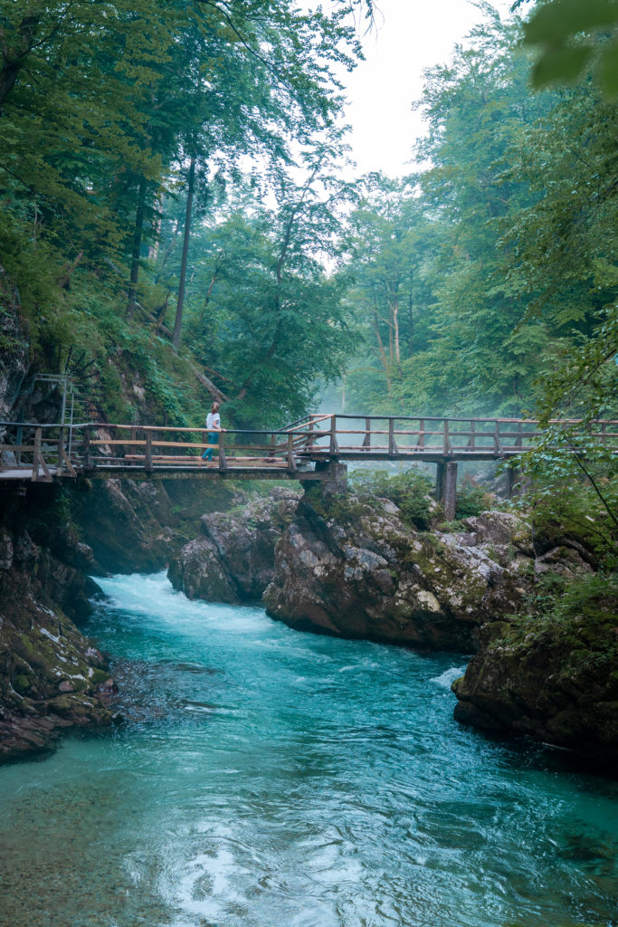 Vintgar Gorge Slovenia | World of Wanderlust