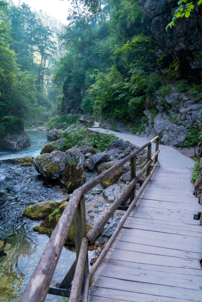 Vintgar Gorge Slovenia | World of Wanderlust