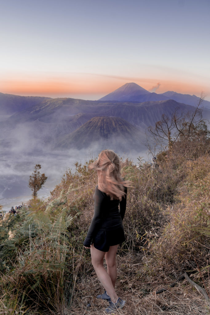 Mount Bromo Day Tour | WORLD OF WANDERLUST