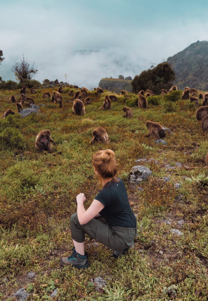 Simien Mountains guide | WORLD OF WANDERLUST