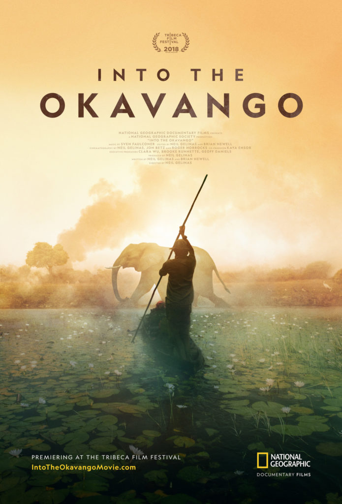 Into the okavango