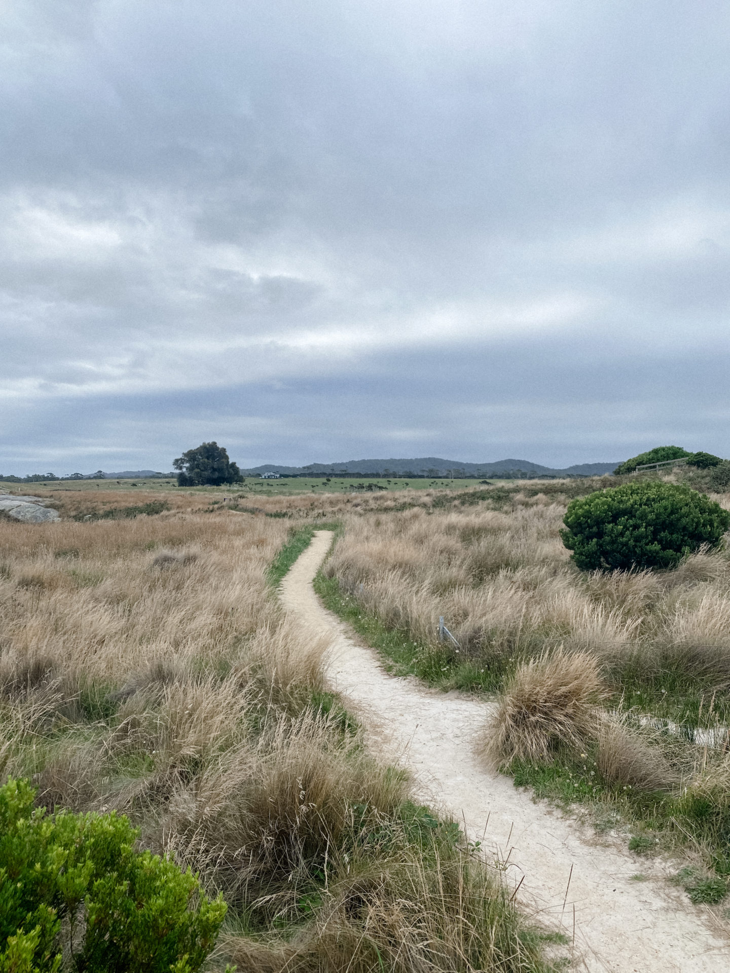 World of Wanderlust Tasmania