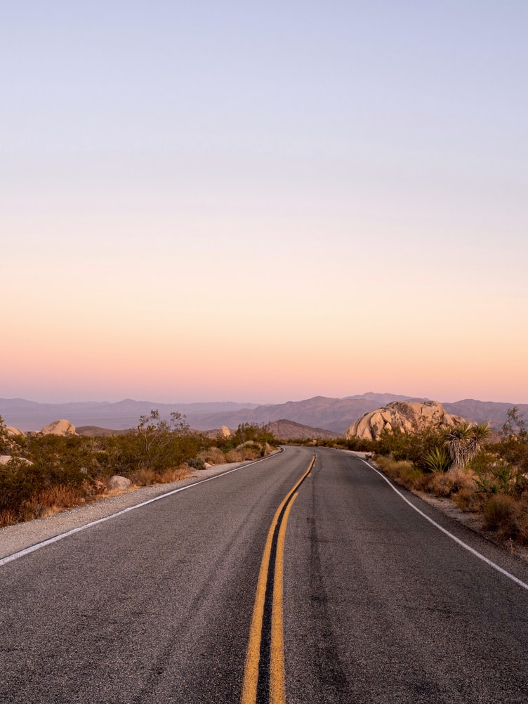 Joshua tree