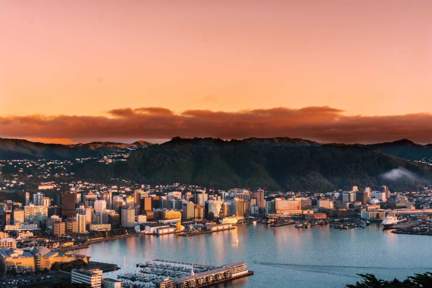 Wellington New Zealand