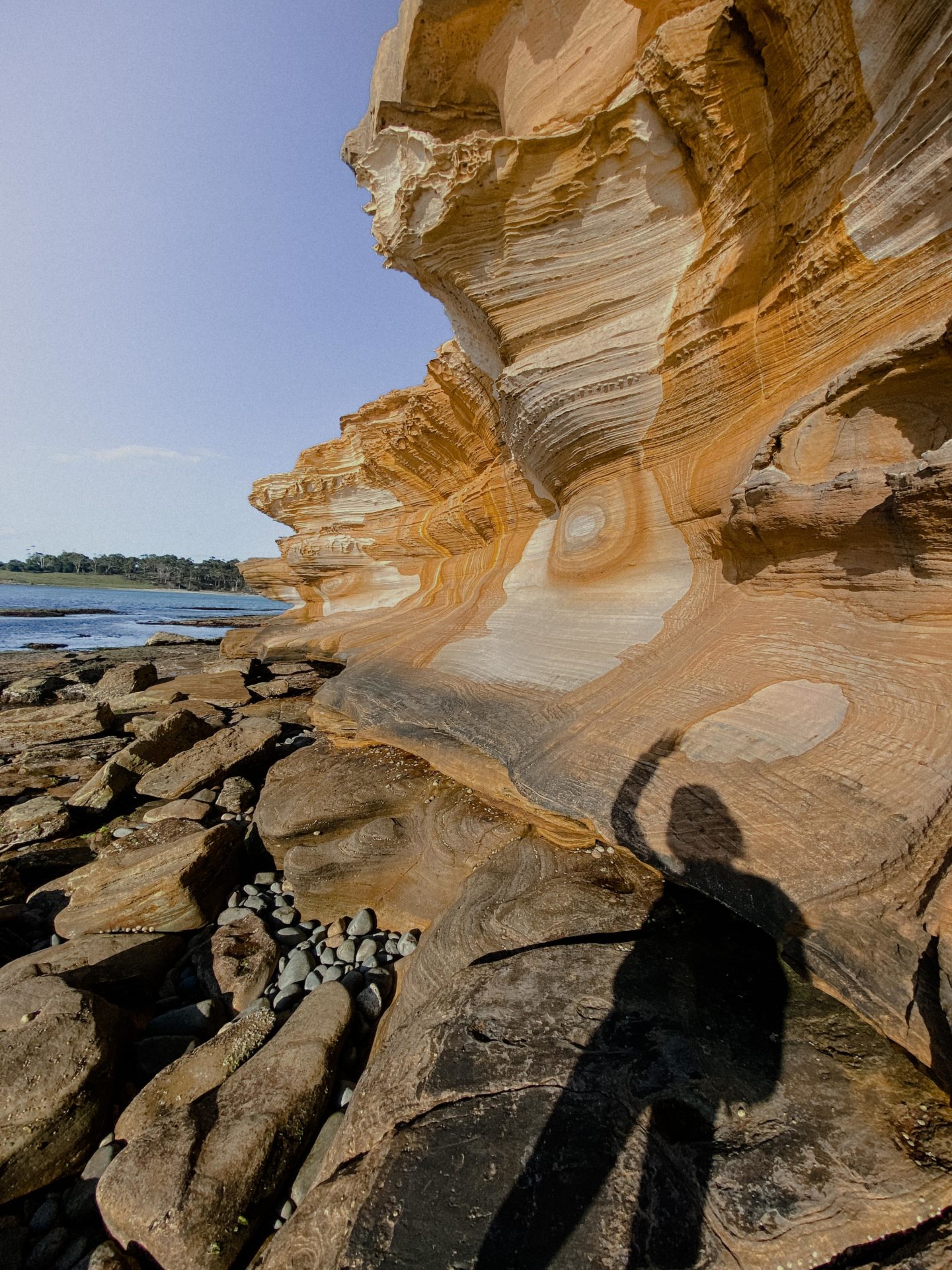 Maria Island Tasmania | World of Wanderlust