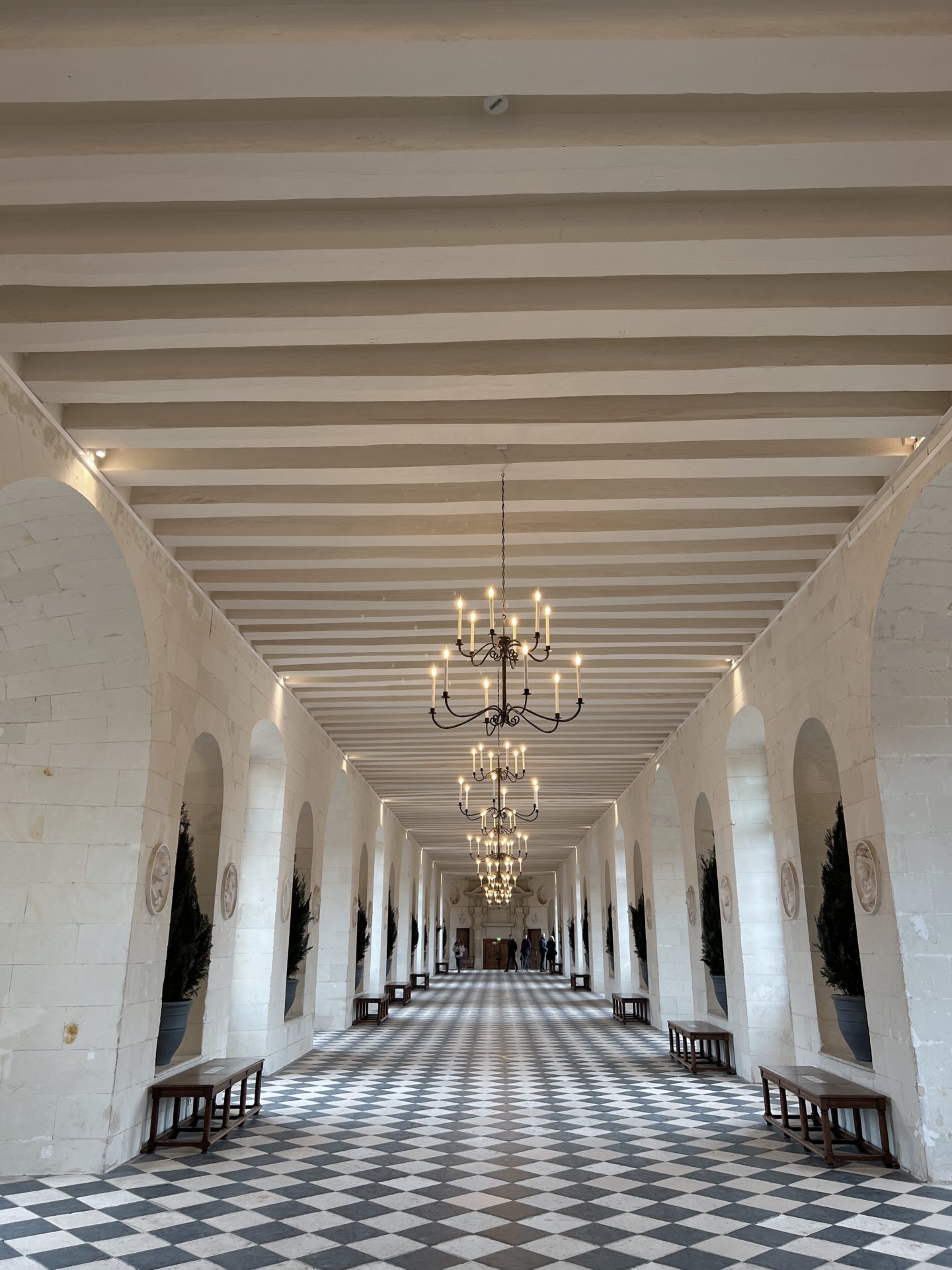 Chateau-de-Chenonceau