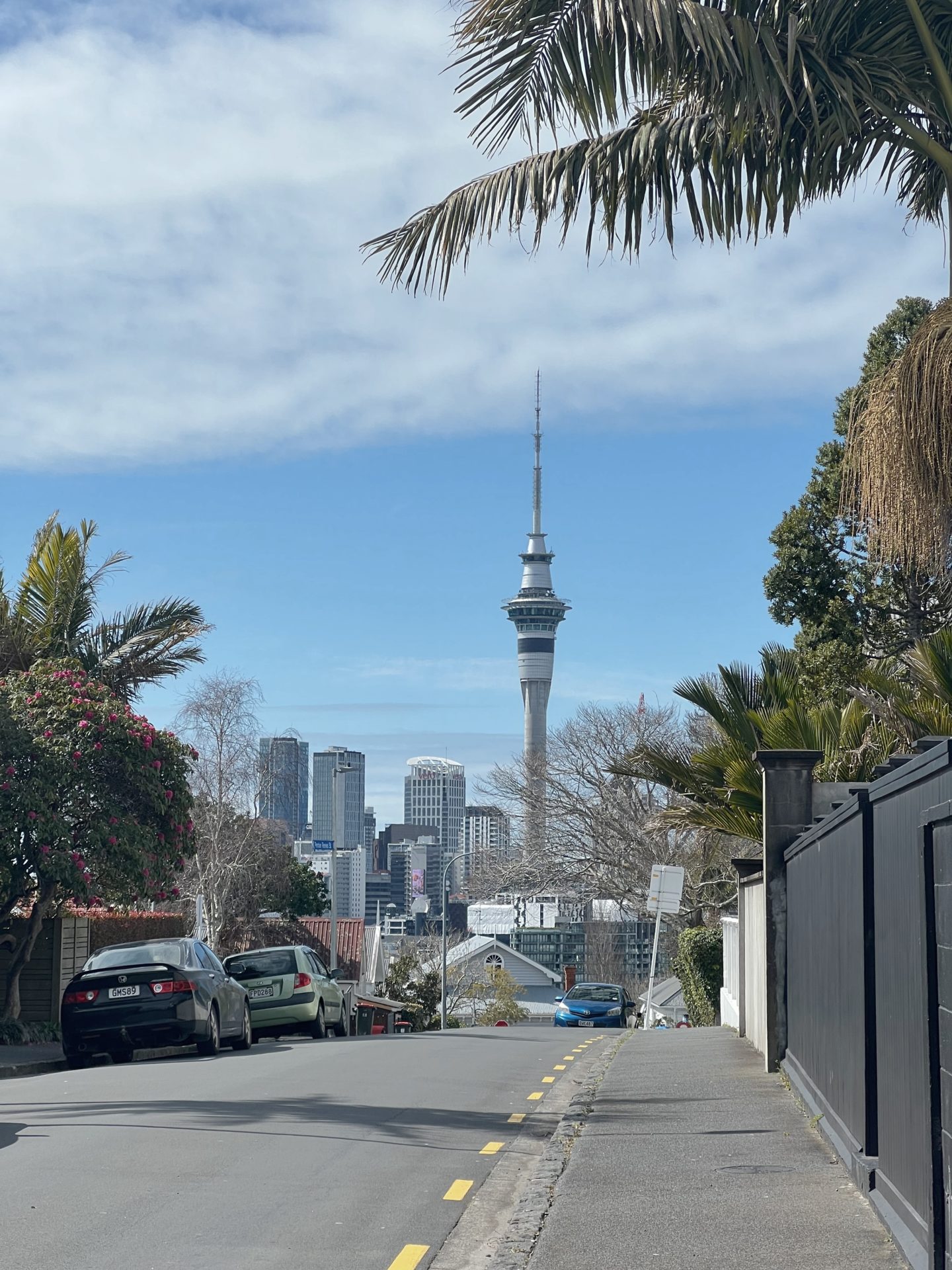 Auckland City Guide | WORLD OF WANDERLUST